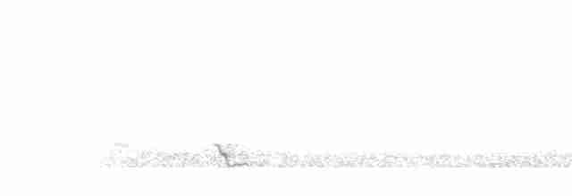 Australian Reed Warbler - ML289794691