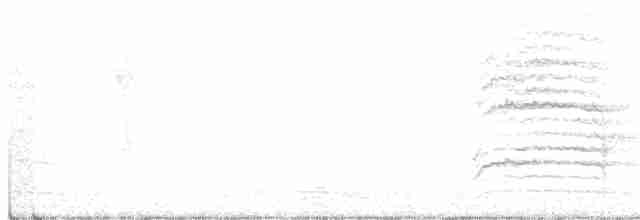 Kırmızı Gagalı Arapbülbülü [leucocephalus grubu] - ML289803271