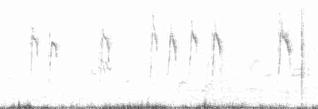 Берингийская жёлтая трясогузка - ML289824691