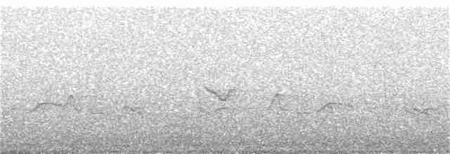 Серогрудый крапивник - ML28985081