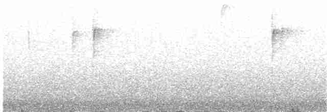 Gray-hooded Bush Tanager - ML28985231