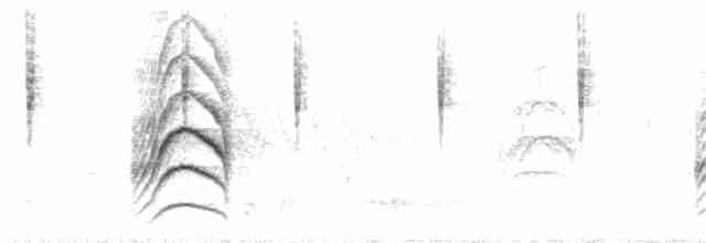 Büyük Kiskadi Tiranı - ML289863101
