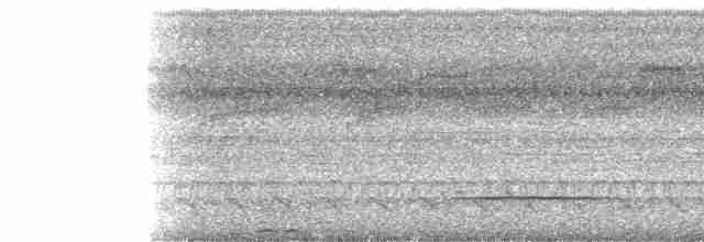 Paroare rougecap (gularis) - ML28987