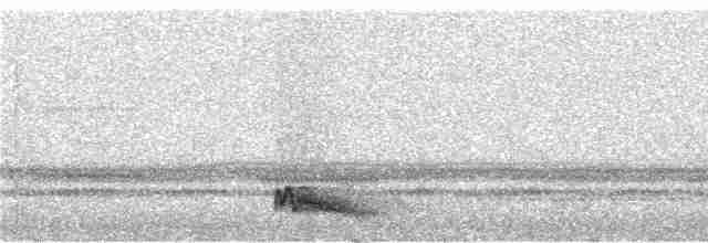 Ohrennachtschwalbe - ML289877
