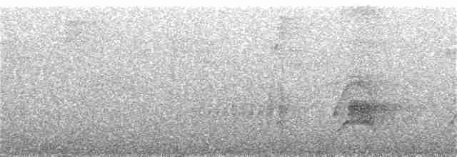 Філідор світлобровий (підвид leucophrus) - ML289891091