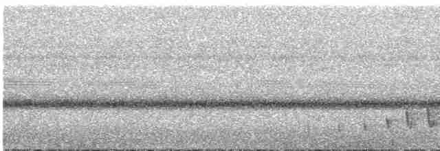 Buff-collared Nightjar - ML289920