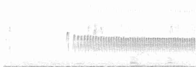 Синицевый гренадерчик - ML290049161