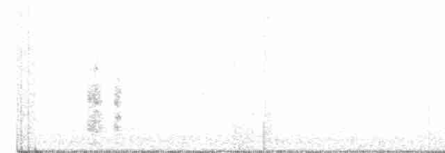 Magellanic Snipe - ML290050951