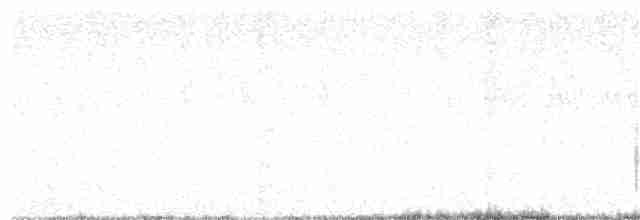 Andamanenschlangenadler - ML290061431