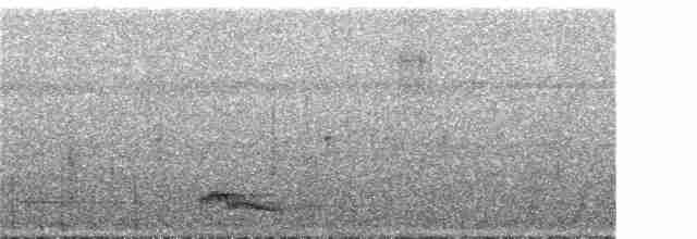 Ohrennachtschwalbe - ML290089