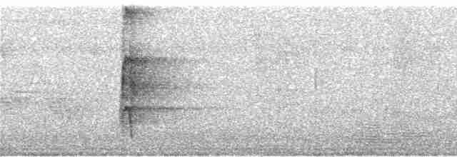 strakapoud hnědokřídlý - ML290121