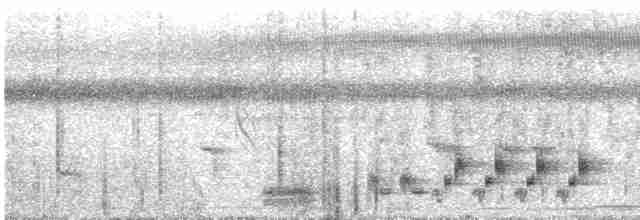 ML290460331 visualization