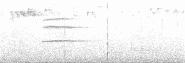 Turuncu Ardıç - ML290535951