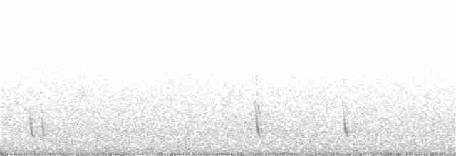 Turuncu Ardıç - ML290539431