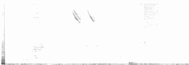 Loggerhead Shrike - ML290637521