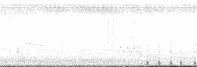 Банкивский петух (Одомашенного вида) - ML290685431