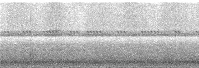 Рораймская совка (roraimae) - ML290820
