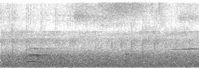 Гребенечуб гвіанський - ML290821