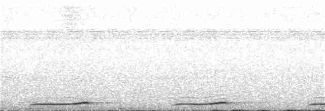 Сова-голконіг далекосхідна - ML290843011