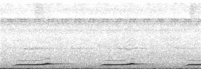 Сова-голконіг далекосхідна - ML290843021