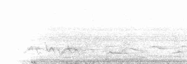 trogon černohlavý - ML29091