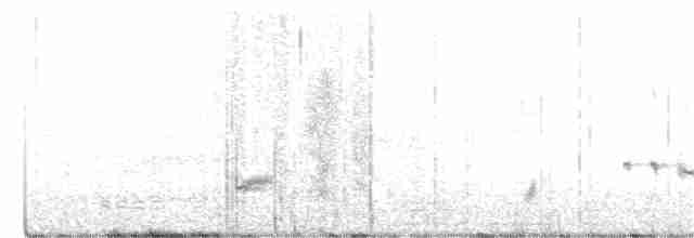 Kara Boğazlı Kamçıkuşu - ML290974241