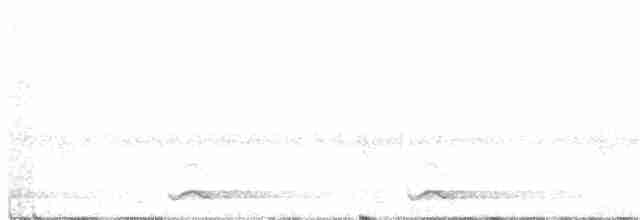 gulstrupeskjeggfugl (franklinii) - ML291057041