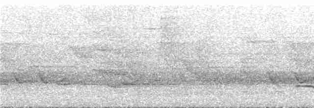 キタツグミマイコドリ（veraepacis グループ） - ML291193