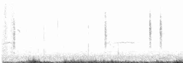 Loggerhead Shrike - ML291324901