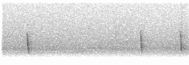 Дрізд-короткодзьоб плямистоволий - ML291476791