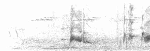Желтоклювый сорокопут - ML291477161