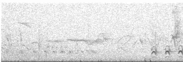 Planalto Slaty-Antshrike - ML291493261