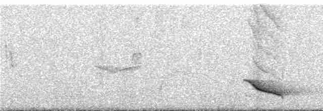 Касик жовтодзьобий (підвид holosericeus/flavirostris) - ML291521