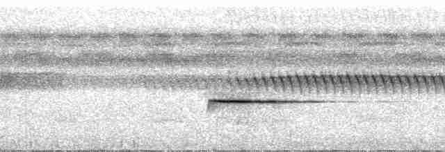 Pullu Çıtkuşu [marginatus grubu] - ML29153
