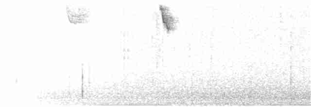 Белогорлая зонотрихия - ML291596591