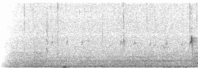 "Шишкар ялиновий (Western Hemlock, або тип 3)" - ML291925511