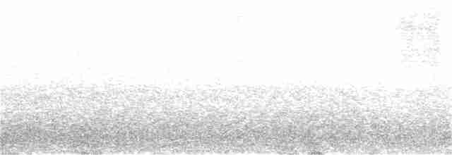 Amerika Üç Parmaklı Ağaçkakanı (dorsalis) - ML291946151