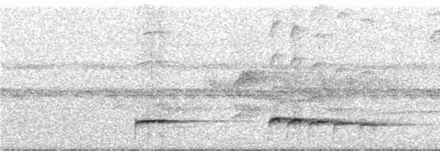 Graubrust-Ameisendrossel - ML292071