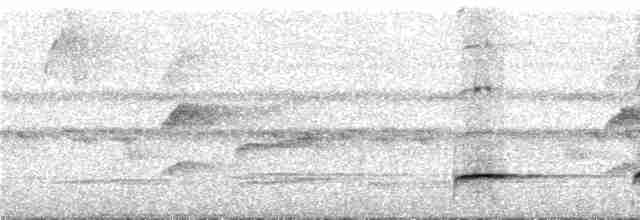 Graubrust-Ameisendrossel - ML292073