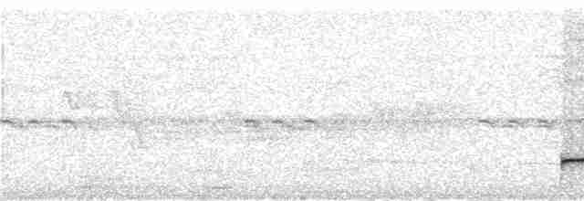 Graubrust-Ameisendrossel - ML292074