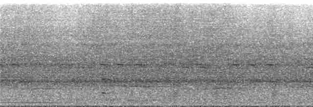 Graubrust-Ameisendrossel - ML292078