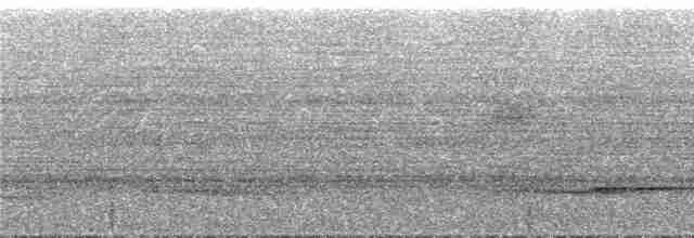 Graubrust-Ameisendrossel - ML292081