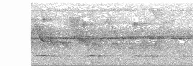 Лінивка-смугохвіст чорнощока - ML292094341