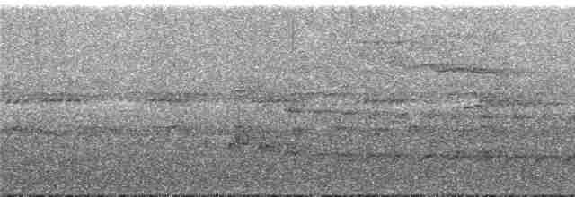 Black-banded Woodcreeper (Spot-throated) - ML292110