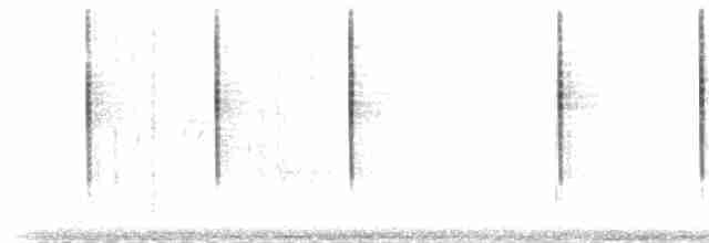 Kara Gözlü Junko (hyemalis/carolinensis) - ML29211261