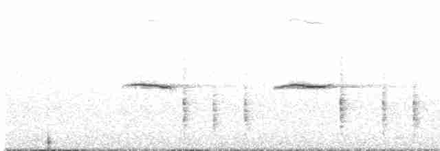 Blyth's Reed Warbler - ML292136451