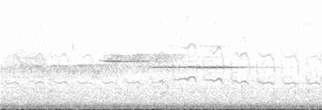 Дятел-смоктун сосновий - ML292192881