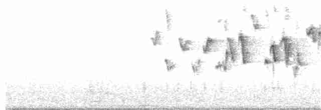 Тихоокеанский крапивник - ML292352371