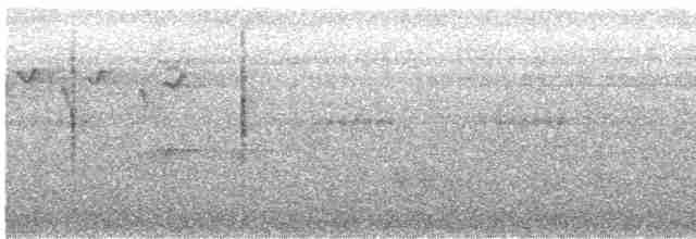 Black-browed Reed Warbler - ML292386061