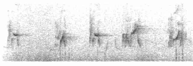 Gray-hooded Sierra Finch (minor) - ML292418171